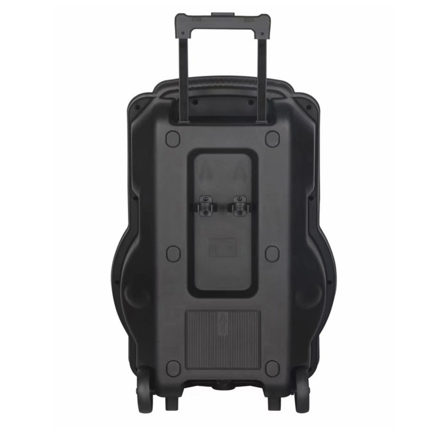 Cassa Portatile Karaoke 12'' Professionale con Microfono Altoparlante Bluethooth