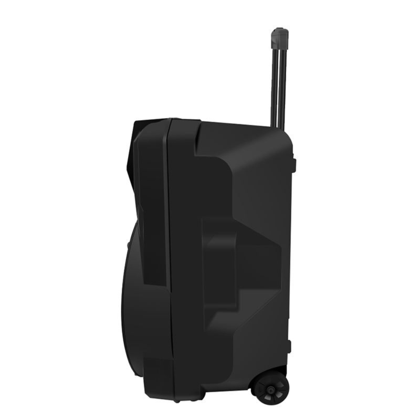 Cassa Karaoke a Batteria 8'' Portatile Bluetooth con Microfono Wireless USB/SD