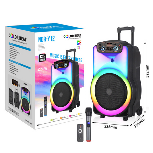 Cassa Portatile Karaoke 12'' Professionale  con Microfono Altoparlante Bluethooth
